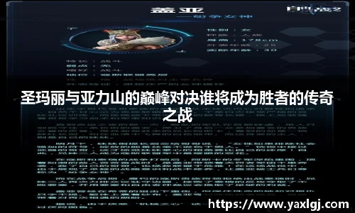 智博19有限公司