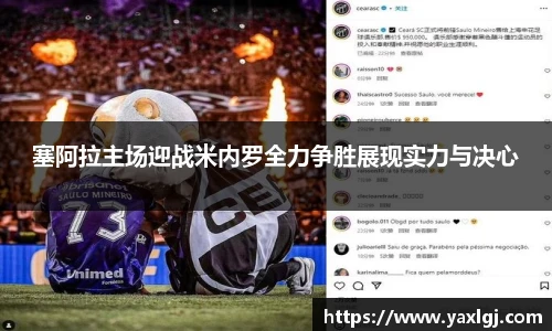 智博19有限公司