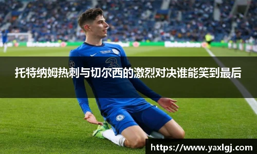 智博19有限公司