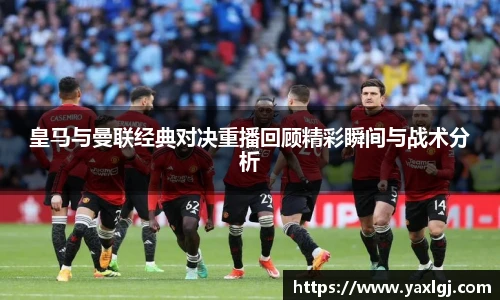 智博19